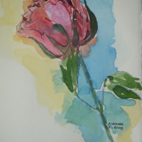 2008, “Rosa”